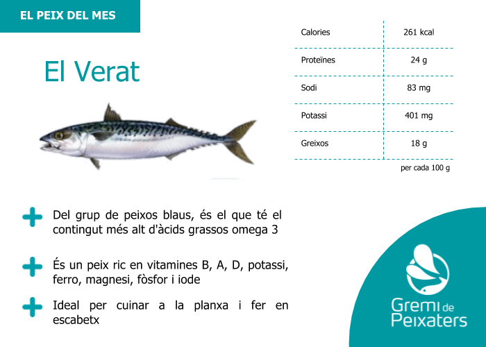 Peix del mes – El verat