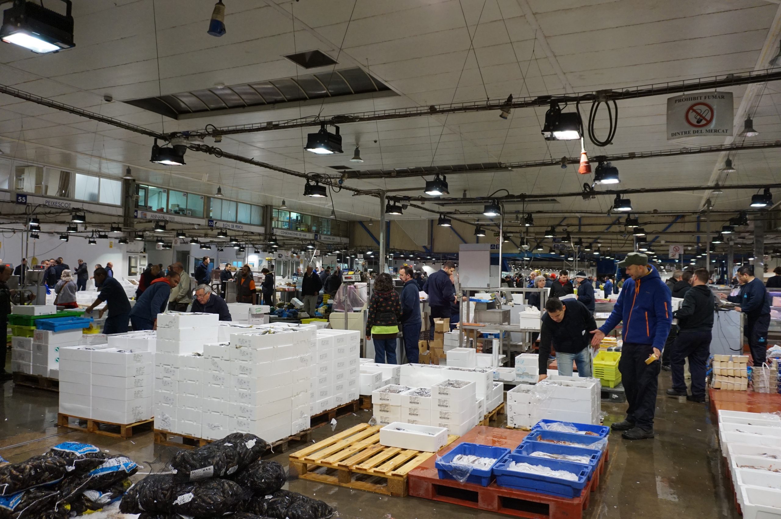 El Gremi de Peixaters de Catalunya qüestiona l’exigència de garanties econòmiques per poder comprar al Mercat Central del Peix