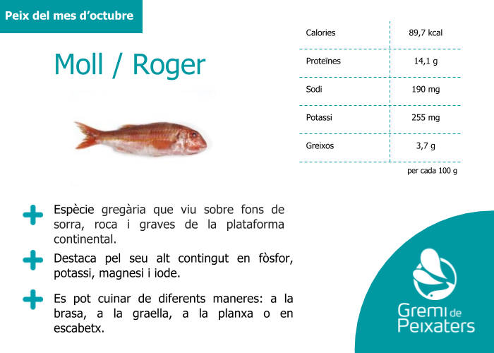 Peix del mes – el moll o roger