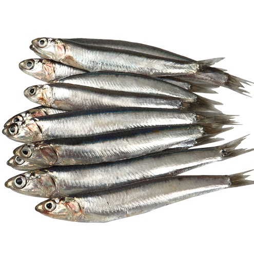 cuinar peix