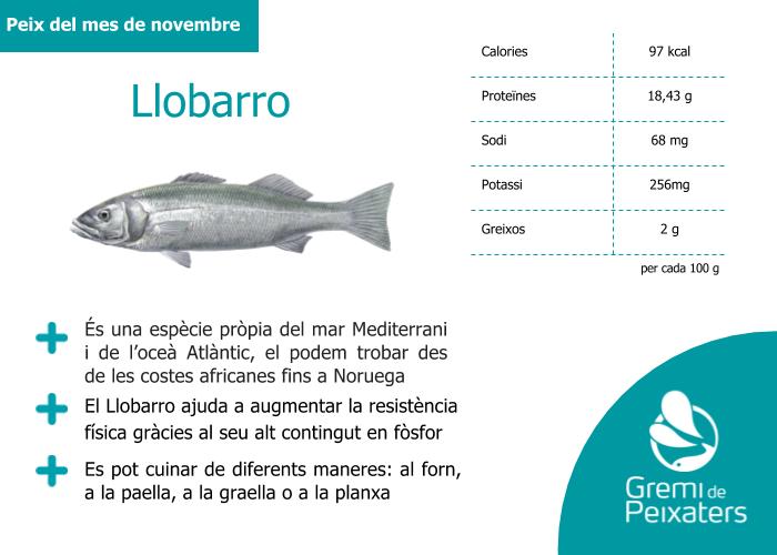 Peix del mes – el llobarro