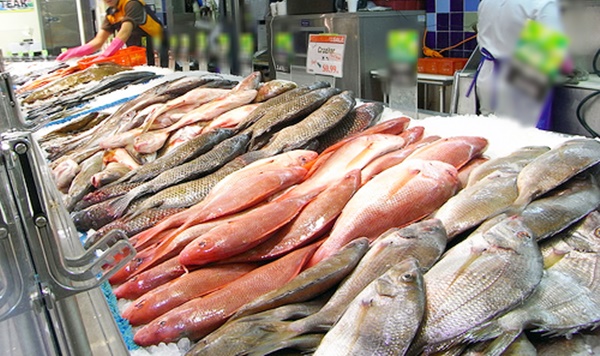 Avançar les compres i congelar el peix per gaudir del millor producte aquestes festes