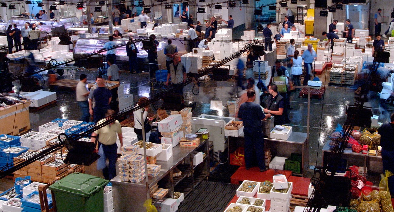 L’ ACCO obre expedient sancionador als majoristes del mercat central del peix de Mercabarna