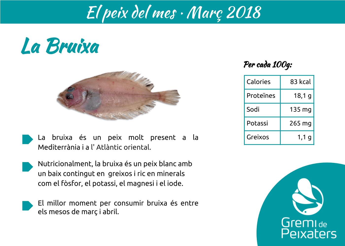Peix del mes – la bruixa