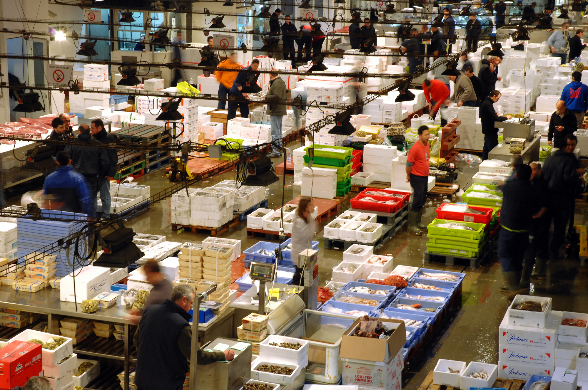 Renovació de la junta del Gremi de Majoristes del Mercat Central del Peix de Mercabarna