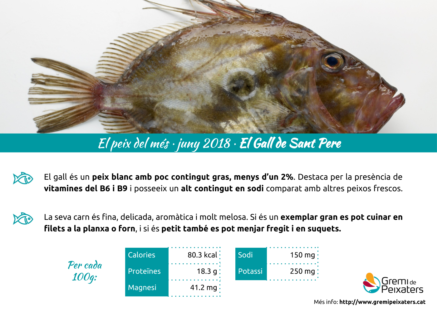Peix del mes – El Gall de Sant Pere, un peix bíblic