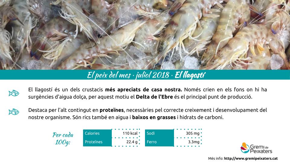 Peix del mes – El Llagostí