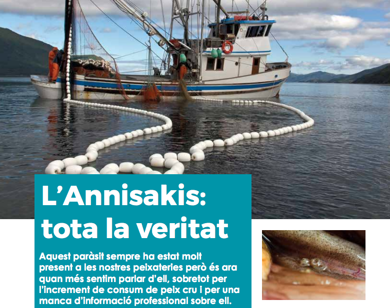 L’Annisakis: tota la veritat