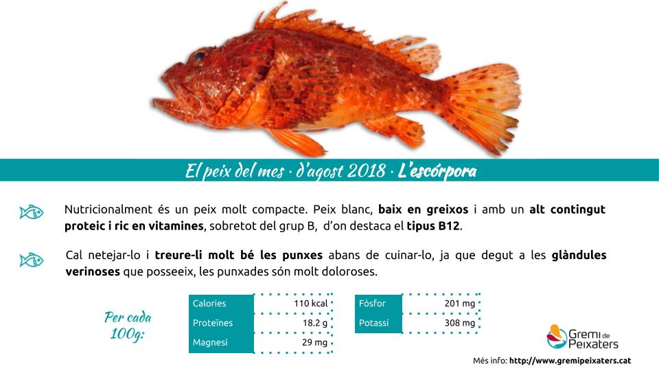 Peix del mes – l’Escórpora