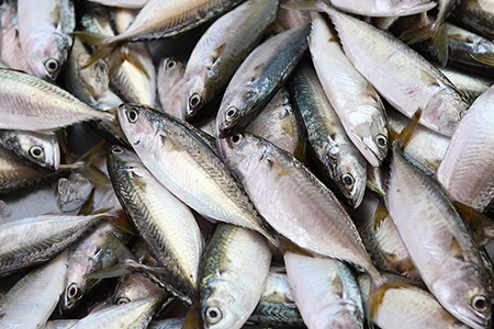 L’Omega-3 ajuda en el tractament de l’Alzheimer
