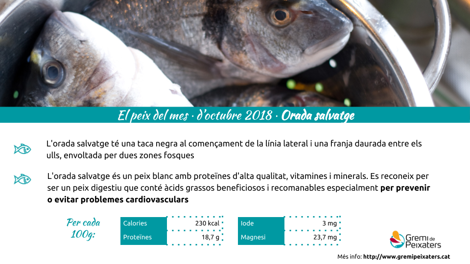 Peix del mes – L’Orada