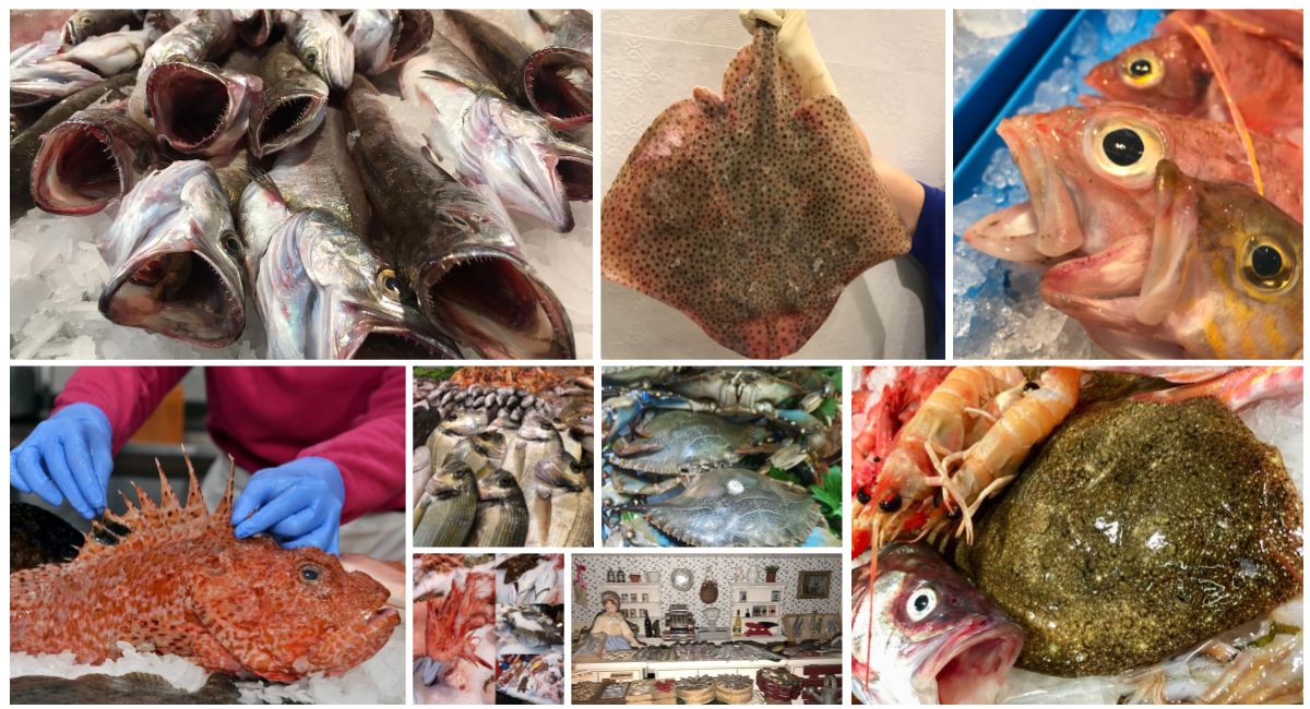 Més de 1000 fotos omplen Instagram del dia a dia dels peixaters catalans