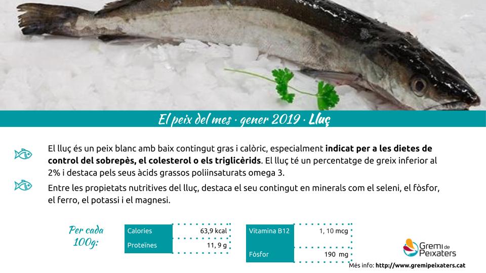 Peix del mes – El lluç