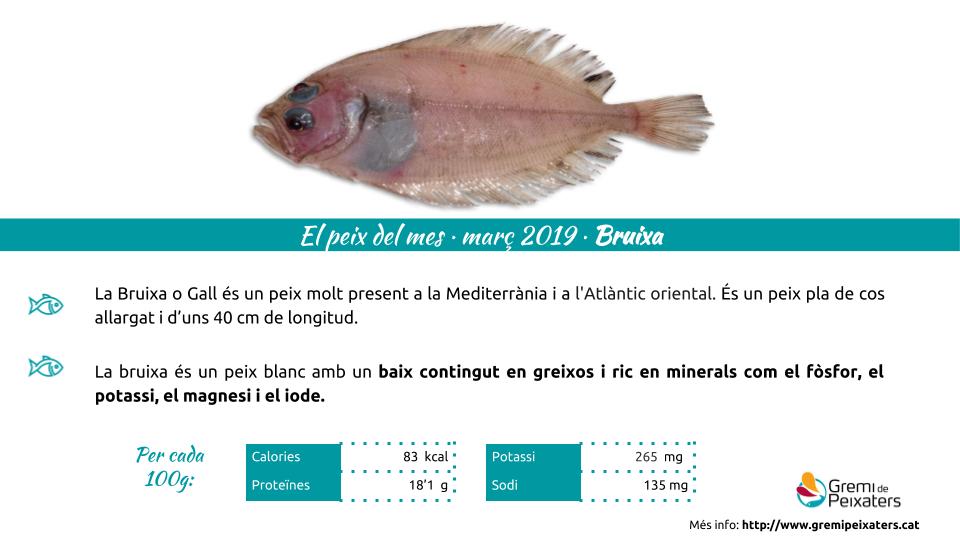 Peix del mes – La bruixa