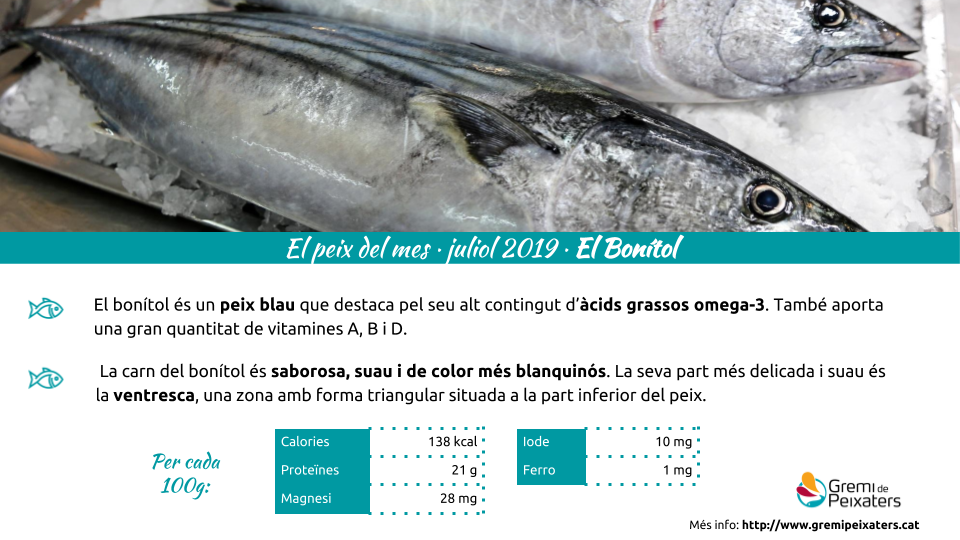 Peix del mes – Bonítol