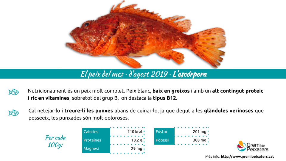Peix del mes – L’Escòrpora