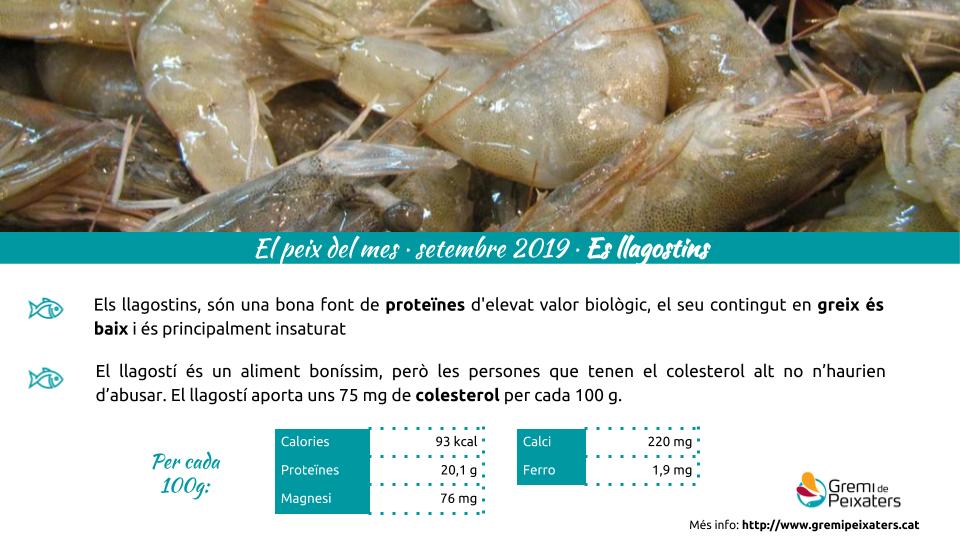 Peix del mes – Els llagostins