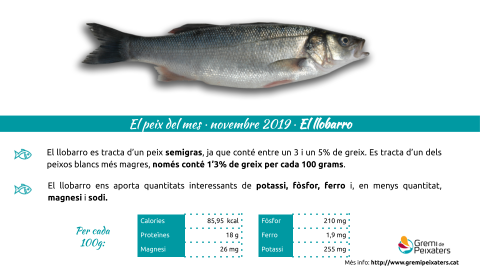 Peix del mes – Llobarro