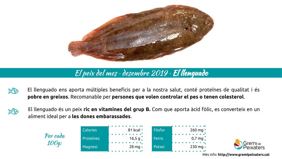 Peix del mes – Llenguado
