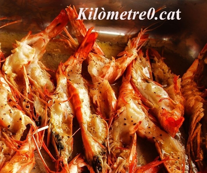 Llagostins Galtzagorri