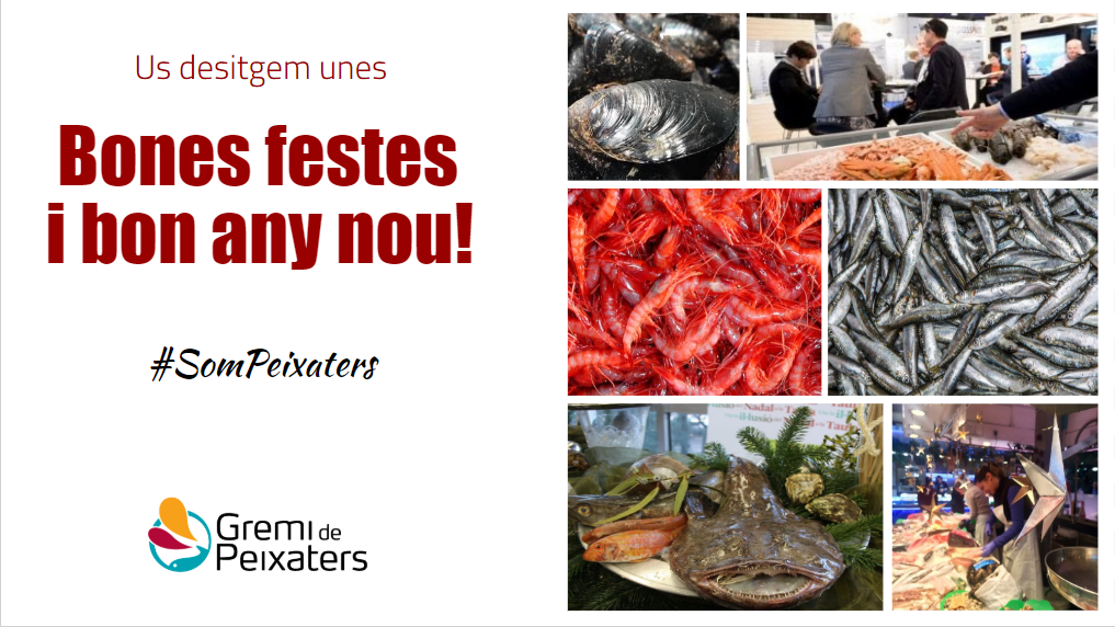 Bones festes i bon any nou!