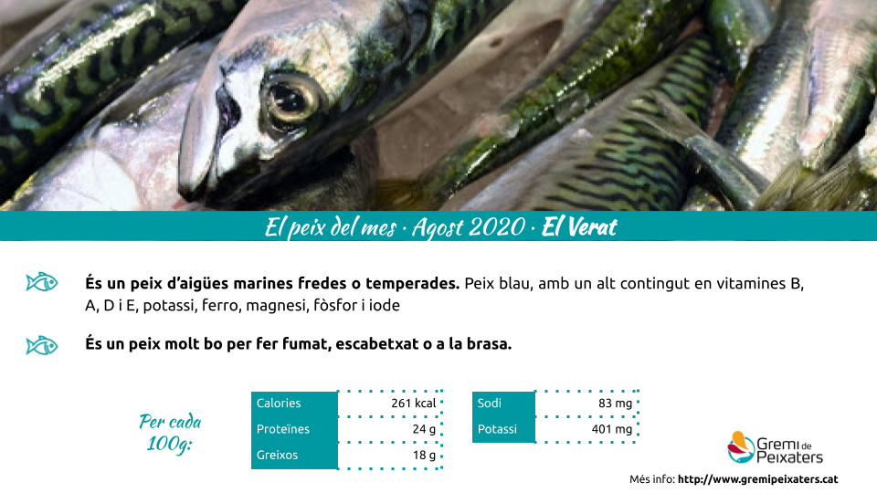 El peix del mes – El Verat