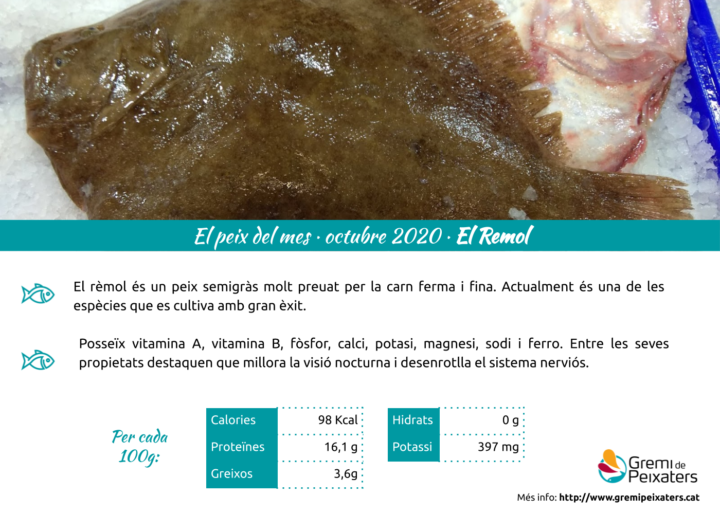 El rèmol, el nostre peix del mes!