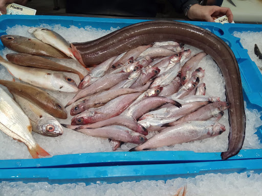 Efectes beneficiosos de l’omega 3 en la regeneració de la vista