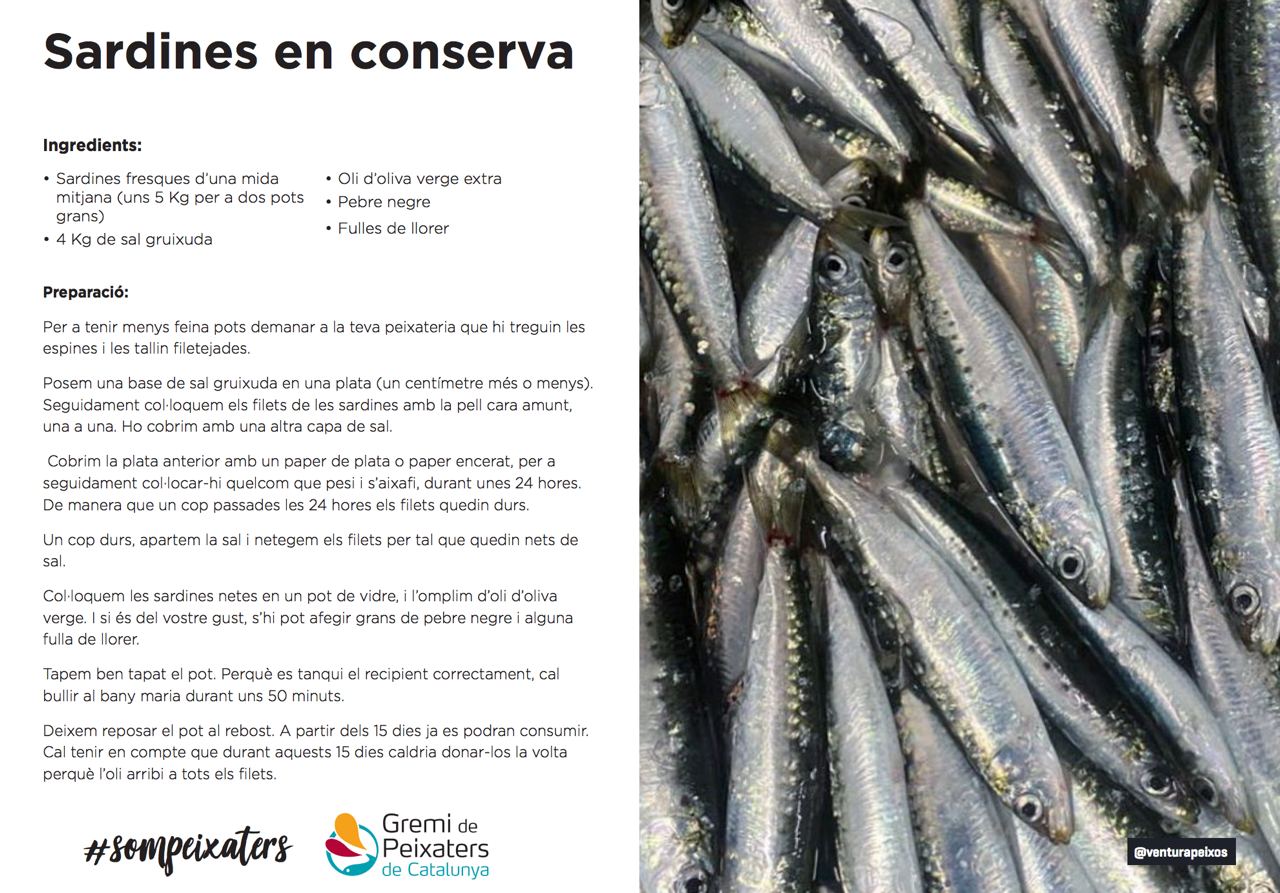 El peix del mes – Sardina