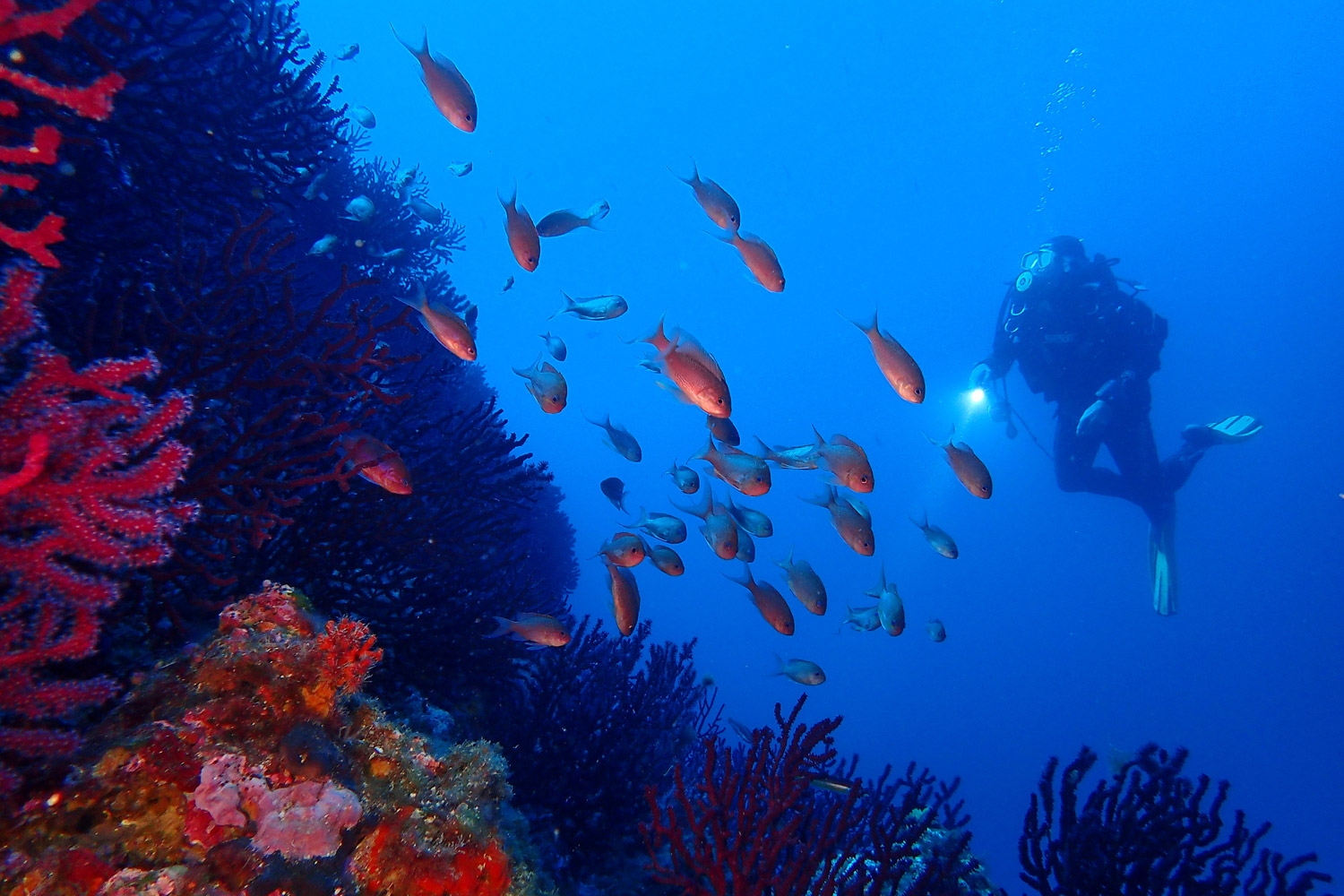 III Jornada Científica de la Càtedra Oceans i Salut Humana: Mar, Salut, Ciència i Societat