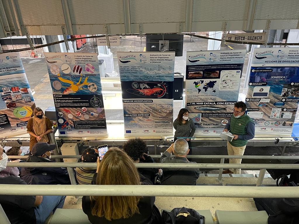 Jornada de divulgació científica sobre l’estat de salut de la Mar Catalana