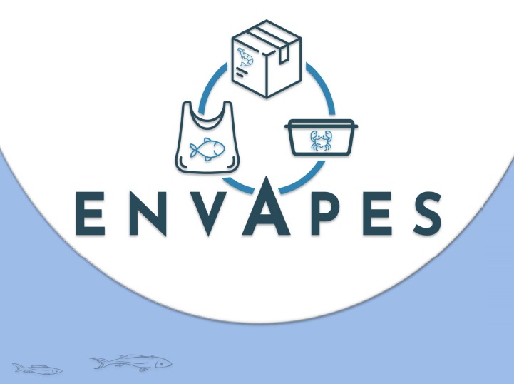 Estudi dels envasos en la cadena pesquera: Anàlisi de materials, ús, composició i gestió