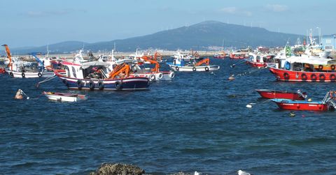 Traspàs peixateria a Premia de Mar
