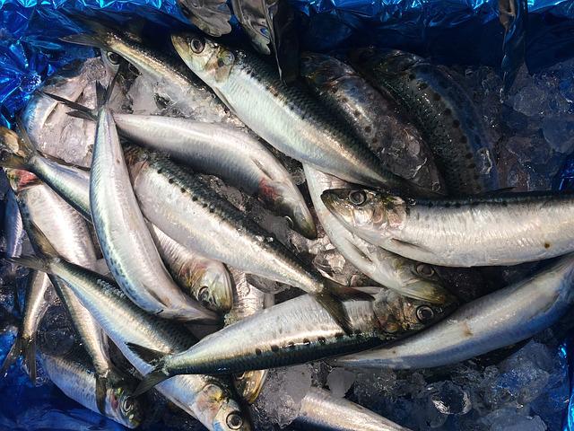 Traspàs de peixateria a Barcelona -Sants