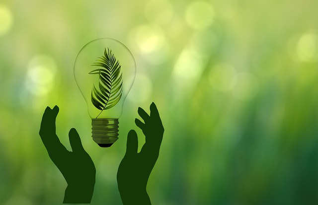 Subvencions per a la promoció de l’estalvi i l’eficiència energètica