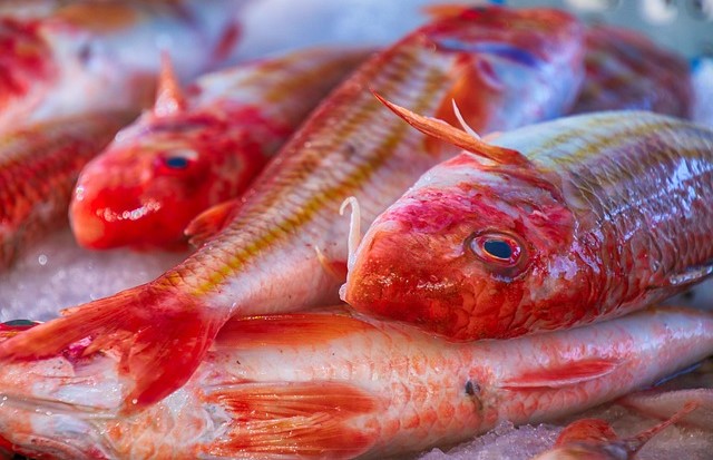 Local de peixateria en lloguer – Santa Eulàlia de Ronçana (Vallès Oriental)