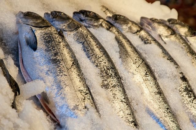 Concessió ús parada peix al Mercat de Salt
