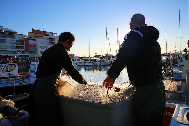 Reial decret llei que regula les condicions ambientals en el treball a l’aire lliure