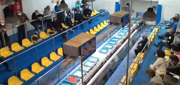 Informe sobre la compra-venda a les llotges de Catalunya