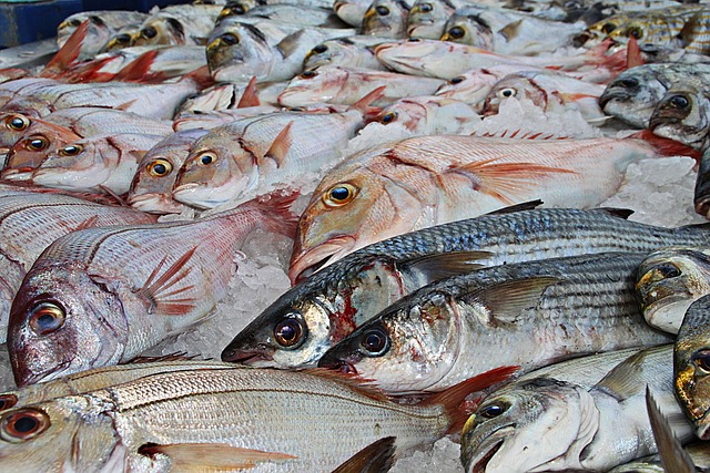 Peixater/ra per botiga Barcelona