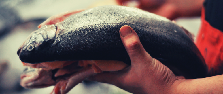 5a Edició del curs Diploma Expert Professional en Comercialització de Productes de la Pesca i l’Aqüicultura