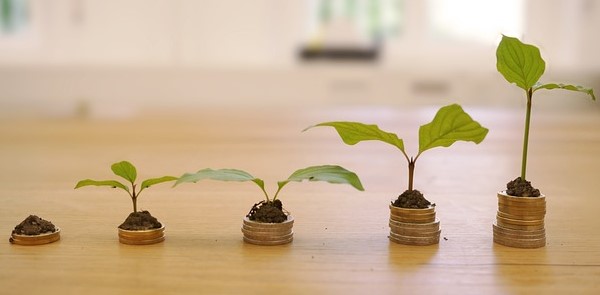 Publicades les bases de les subvencions del CCAM per al 2024