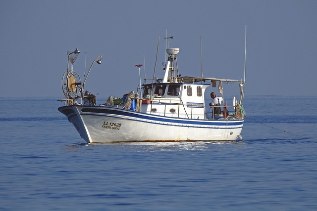 Informes sobre productes de la pesca