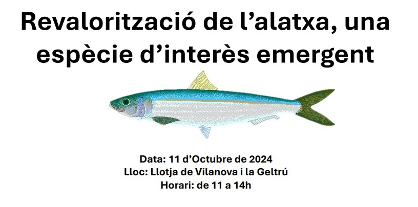 Jornada: Revalorització de l’alatxa al Mar Balear