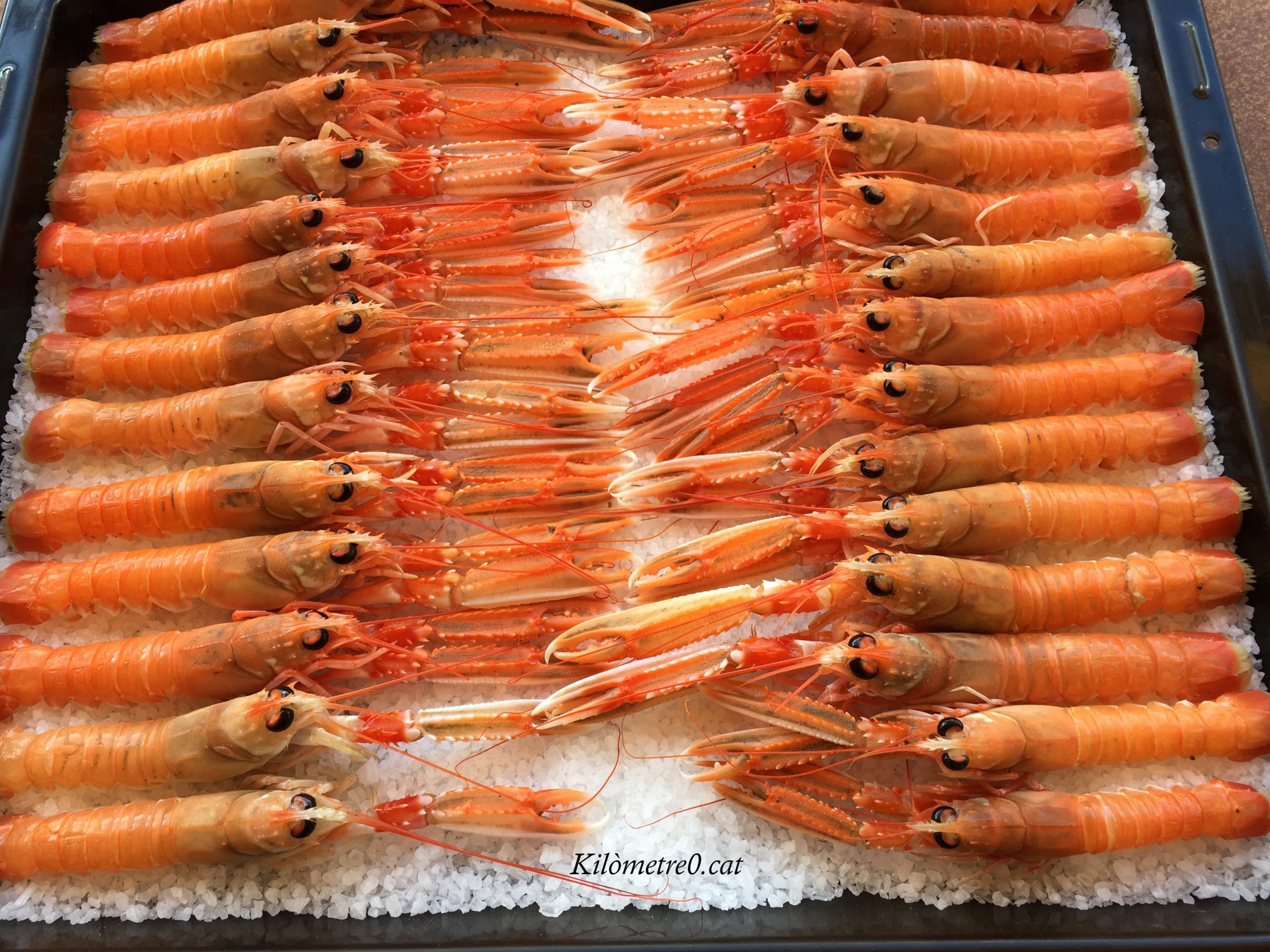 Escamarlans de Blanes a la sal