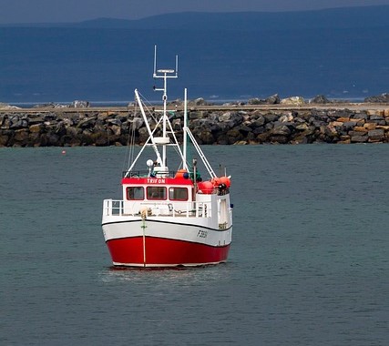 Nova retallada dels dies de pesca en el Mediterrani.