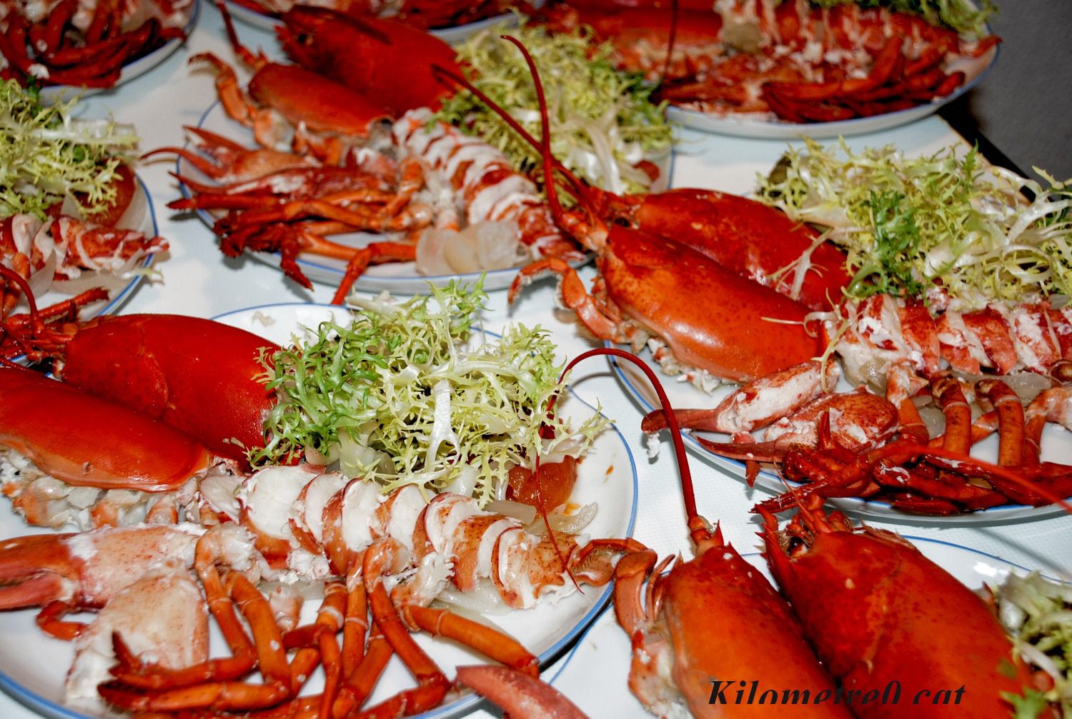 Recepta de Llobregants a la mar