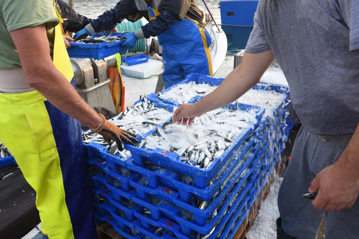 El Gremi de Peixaters de Catalunya valora l’anunci del ministre Planas sobre l’ampliació dels dies de pesca d’arrossegament al Mediterrani