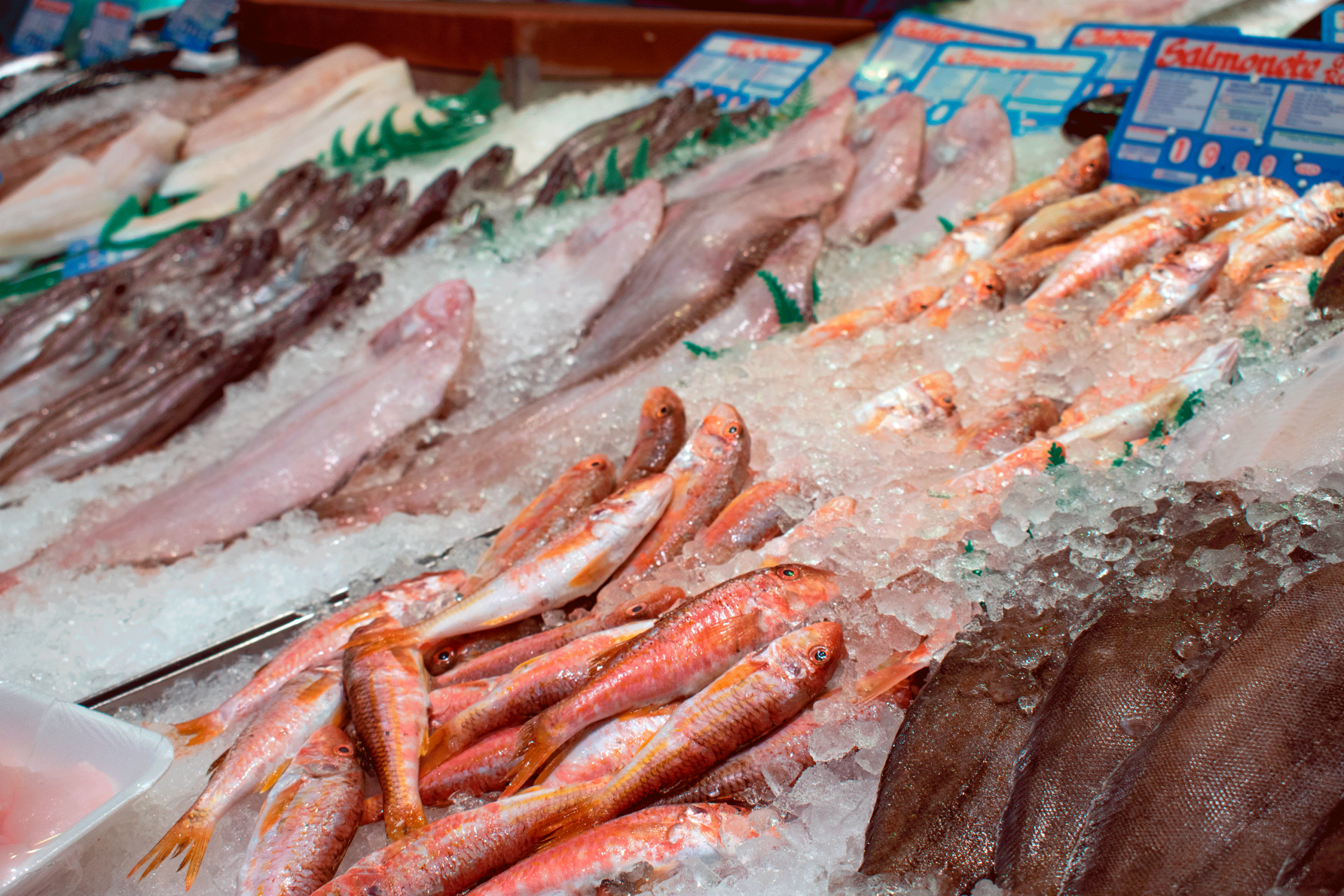 El Gremi de Peixaters se suma a la petició de FEDEPESCA i demana rigor informatiu sobre el peix i recorda que és un aliment segur i essencial