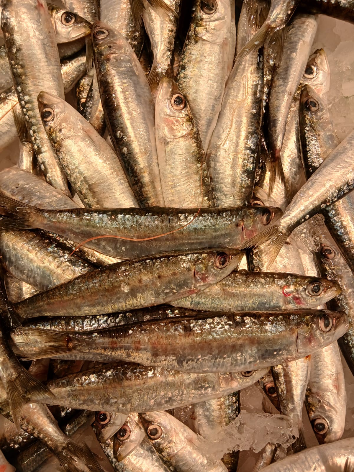 Peixater/a per Mercat a Barcelona